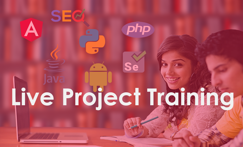 Live Project Training and Documentation Icon Image