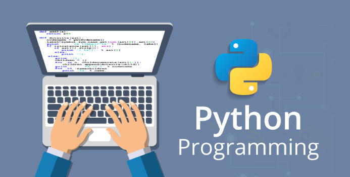 Python Web Development Icon Image